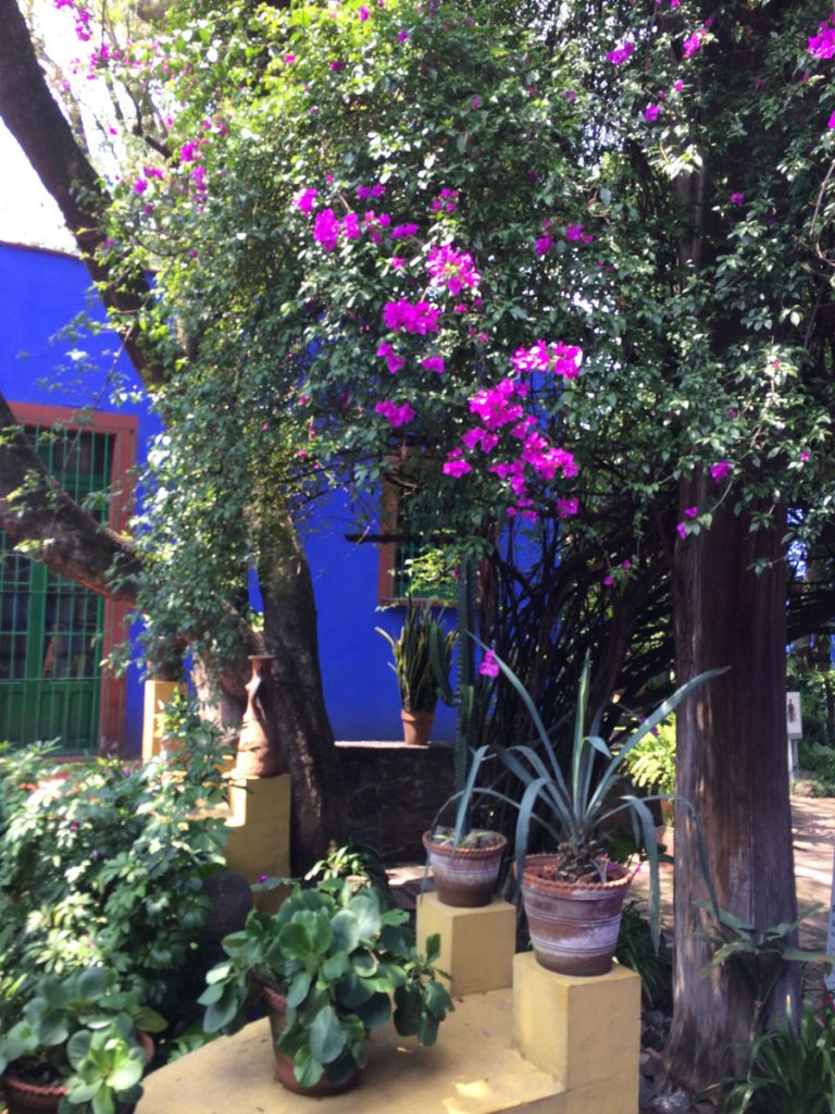 Virtually live from Frida Kahlo’s home, The Blue House!